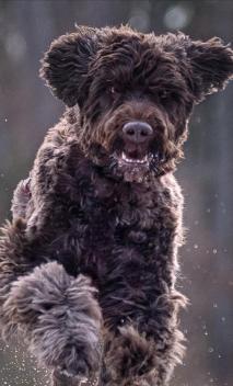 A6D1781F-C464-450A-BF1D-038A1C28D69F