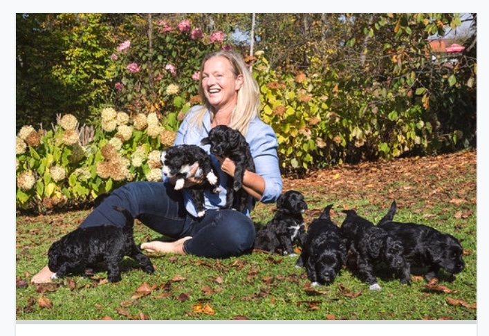 C17514B6-64EE-45C2-987F-DBA45094CB24